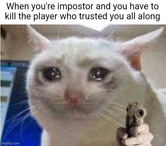 this meme is 4 years late but i had no other ideas | When you're impostor and you have to kill the player who trusted you all along | image tagged in sad cat with gun,among us,impostor,gaming,2020,memes | made w/ Imgflip meme maker