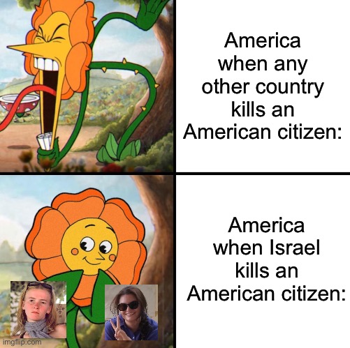 Her name was Aysenur Ezgi. | America when any other country kills an American citizen:; America when Israel kills an American citizen: | image tagged in angry flower,israel,palestine,genocide,war crimes | made w/ Imgflip meme maker