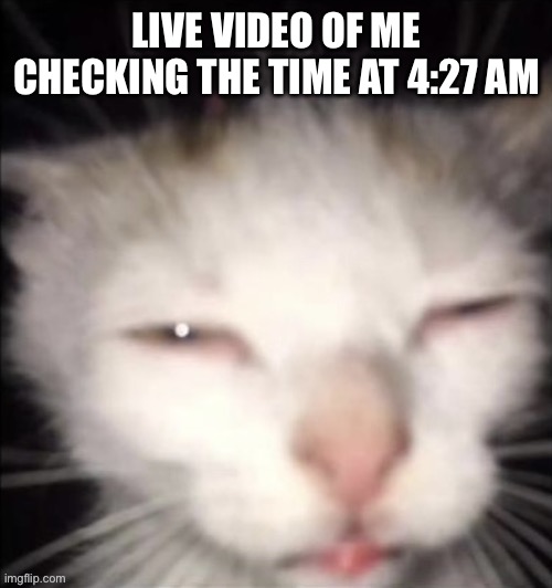 Cat | LIVE VIDEO OF ME CHECKING THE TIME AT 4:27 AM | made w/ Imgflip meme maker