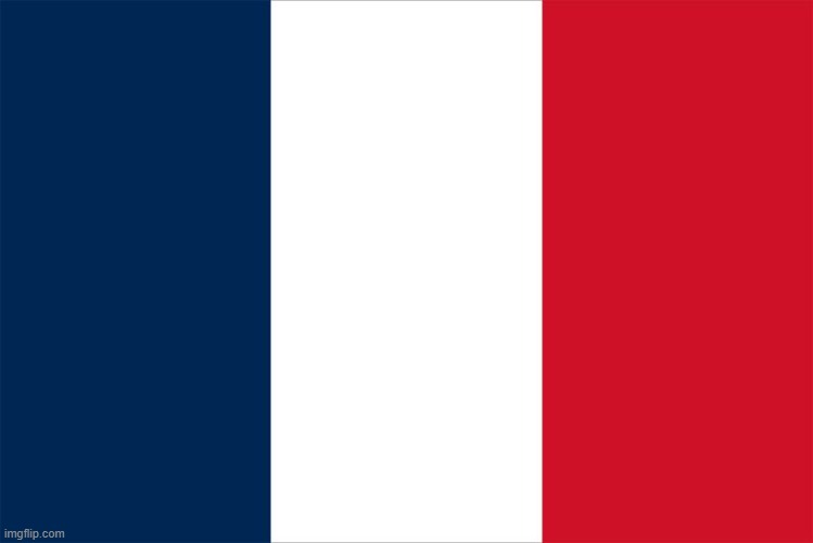 Guess the flag (wrong answers only) | image tagged in vinny x theyesninja,frogs,baguette,snails,austrian painter in paris | made w/ Imgflip meme maker