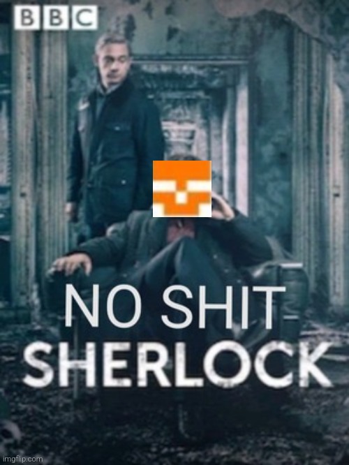 No shit Sherlock | image tagged in no shit sherlock | made w/ Imgflip meme maker