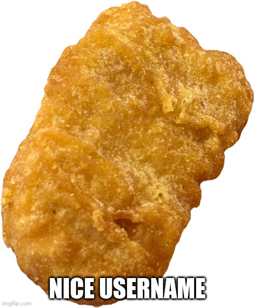 chicken nugget | NICE USERNAME | image tagged in chicken nugget | made w/ Imgflip meme maker
