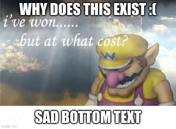 WHY DOES THIS EXIST :( SAD BOTTOM TEXT | image tagged in wario sad | made w/ Imgflip meme maker