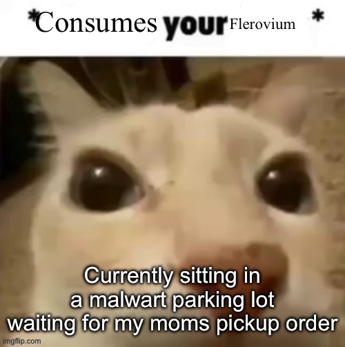 Yakko consumes your flerovium | Currently sitting in a malwart parking lot waiting for my moms pickup order | image tagged in yakko consumes your flerovium,walmart,i identify as a walmart bag | made w/ Imgflip meme maker