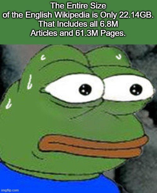 Jesus Christ... | The Entire Size of the English Wikipedia is Only 22.14GB.

That Includes all 6.8M Articles and 61.3M Pages. | image tagged in sweat pepe | made w/ Imgflip meme maker