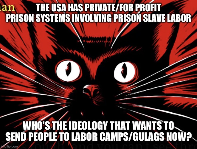 Hmmmmm? | THE USA HAS PRIVATE/FOR PROFIT PRISON SYSTEMS INVOLVING PRISON SLAVE LABOR; WHO'S THE IDEOLOGY THAT WANTS TO SEND PEOPLE TO LABOR CAMPS/GULAGS NOW? | image tagged in sabo tabby,capitalism,prison,slavery | made w/ Imgflip meme maker