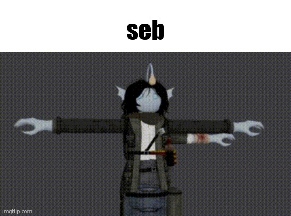 seb | seb | made w/ Imgflip meme maker