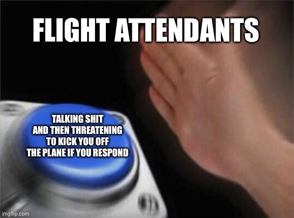 Blank Nut Button | FLIGHT ATTENDANTS; TALKING SHIT AND THEN THREATENING TO KICK YOU OFF THE PLANE IF YOU RESPOND | image tagged in memes,blank nut button | made w/ Imgflip meme maker