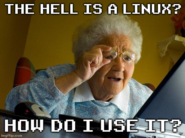 use linux mint and not arch linux if its that hard :trol: | THE HELL IS A LINUX? HOW DO I USE IT? | image tagged in memes,grandma finds the internet | made w/ Imgflip meme maker