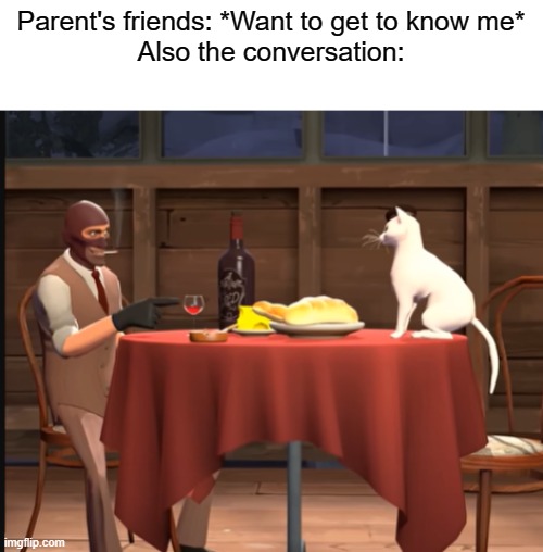 I'm the cat, just clueless and unwilling to talk | Parent's friends: *Want to get to know me*
Also the conversation: | image tagged in conversation,spi | made w/ Imgflip meme maker