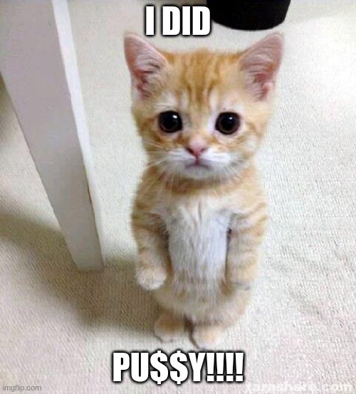 who tf said "pspsps" | I DID; PU$$Y!!!! | image tagged in memes,cute cat | made w/ Imgflip meme maker