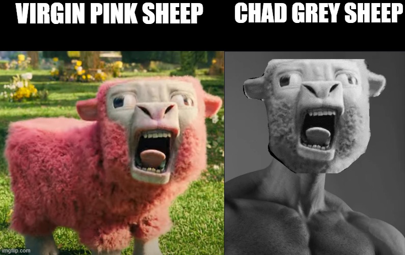 Pink Sheep vs Grey Sheep | VIRGIN PINK SHEEP; CHAD GREY SHEEP | image tagged in minecraft,minecraft movie | made w/ Imgflip meme maker