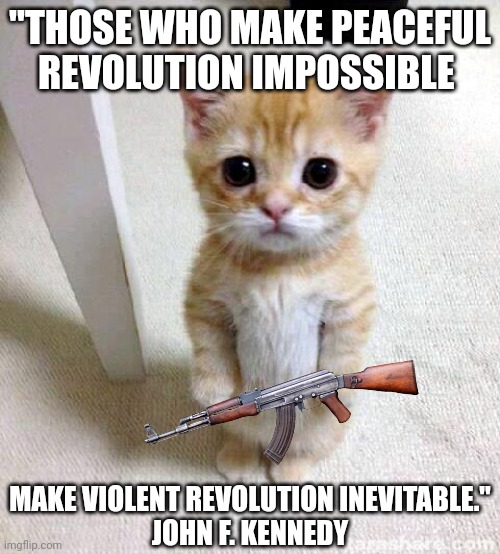 What are we waiting for? | "THOSE WHO MAKE PEACEFUL REVOLUTION IMPOSSIBLE; MAKE VIOLENT REVOLUTION INEVITABLE."
JOHN F. KENNEDY | image tagged in memes,cute cat | made w/ Imgflip meme maker