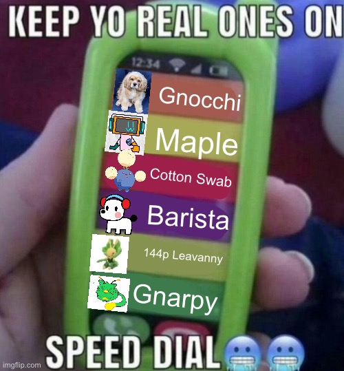 keep yo real ones on speed dial | Gnocchi; Maple; Cotton Swab; Barista; 144p Leavanny; Gnarpy | image tagged in keep yo real ones on speed dial | made w/ Imgflip meme maker