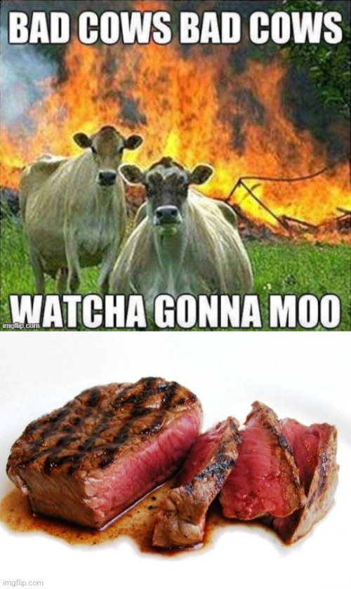 That's what I'm gonna Moo. | image tagged in rare steak | made w/ Imgflip meme maker