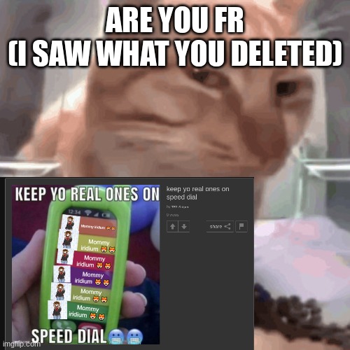 @tfsniper | ARE YOU FR
(I SAW WHAT YOU DELETED) | image tagged in what the fuck man | made w/ Imgflip meme maker