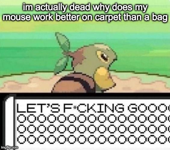 turtwig lets fucking go | im actually dead why does my mouse work better on carpet than a bag | image tagged in turtwig lets fucking go | made w/ Imgflip meme maker