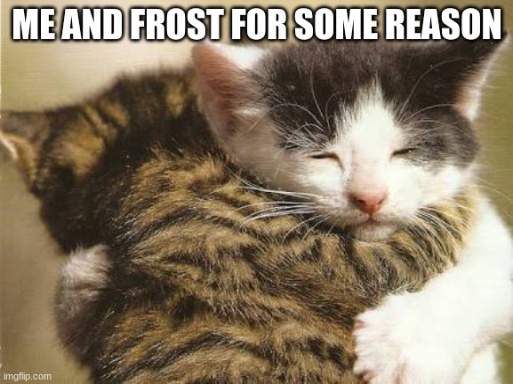 she likes to envision me as much smaller | ME AND FROST FOR SOME REASON | image tagged in hug cats | made w/ Imgflip meme maker