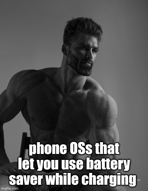 ? ? | phone OSs that let you use battery saver while charging | image tagged in giga chad | made w/ Imgflip meme maker