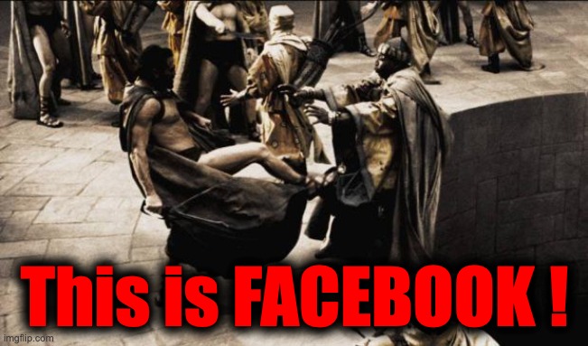 This is FACEBOOK ! | This is FACEBOOK ! | image tagged in madness - this is sparta,facebook | made w/ Imgflip meme maker