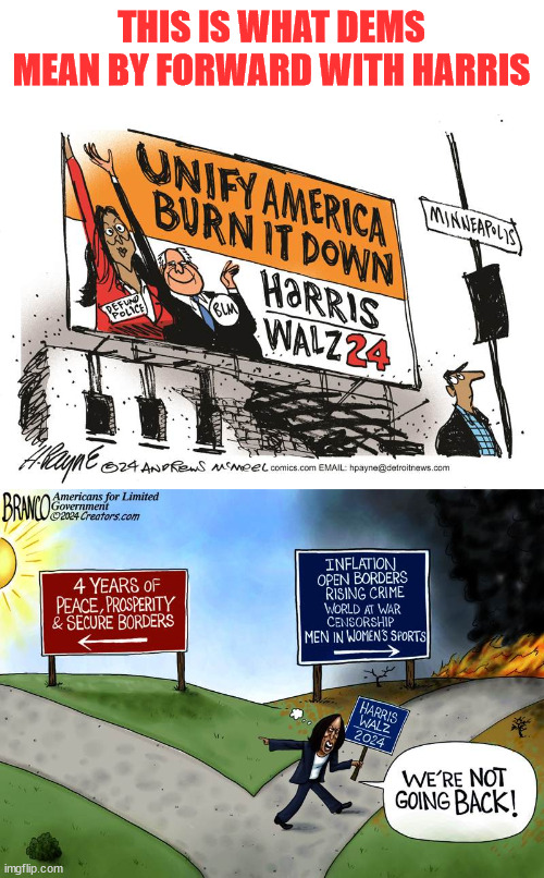 Some like the smell of burnt rubber... like Mrs. Walz... | THIS IS WHAT DEMS MEAN BY FORWARD WITH HARRIS | image tagged in forward with harris | made w/ Imgflip meme maker