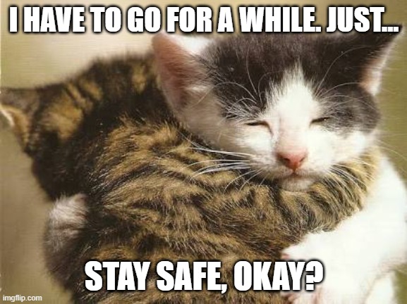 I worry about you. all of you. | I HAVE TO GO FOR A WHILE. JUST... STAY SAFE, OKAY? | image tagged in hug cats | made w/ Imgflip meme maker