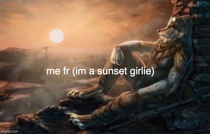 LMAOO | me fr (im a sunset girlie) | made w/ Imgflip meme maker