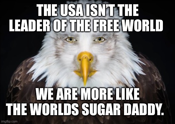 Broke Daddy | THE USA ISN’T THE LEADER OF THE FREE WORLD; WE ARE MORE LIKE THE WORLDS SUGAR DADDY. | image tagged in bald eagle stare | made w/ Imgflip meme maker