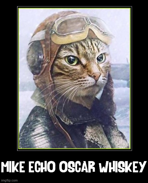 Ground Control to Major Tom | MIKE ECHO OSCAR WHISKEY | image tagged in vince vance,aviator,meow,cats,david bowie,funny cat memes | made w/ Imgflip meme maker