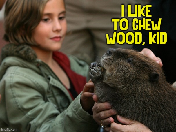 I LIKE TO CHEW WOOD, KID | made w/ Imgflip meme maker