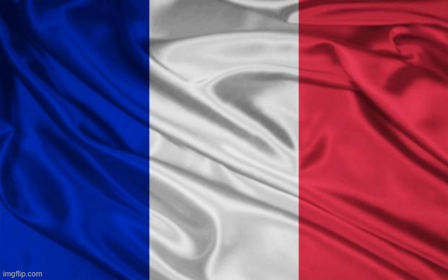 french flag | image tagged in french flag | made w/ Imgflip meme maker