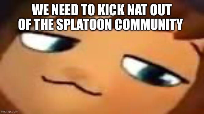 smug hat kid.mp4 | WE NEED TO KICK NAT OUT OF THE SPLATOON COMMUNITY | image tagged in smug hat kid mp4 | made w/ Imgflip meme maker