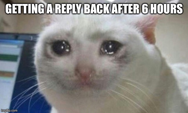 Getting a reply back after 6 hours | GETTING A REPLY BACK AFTER 6 HOURS | image tagged in cats | made w/ Imgflip meme maker