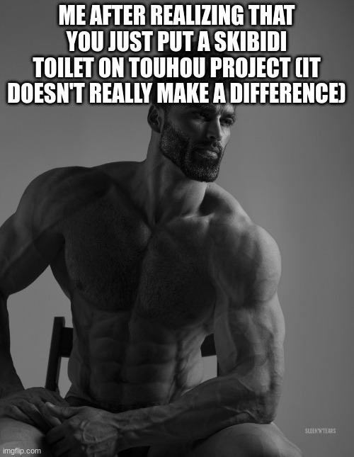 Giga Chad | ME AFTER REALIZING THAT YOU JUST PUT A SKIBIDI TOILET ON TOUHOU PROJECT (IT DOESN'T REALLY MAKE A DIFFERENCE) | image tagged in giga chad | made w/ Imgflip meme maker