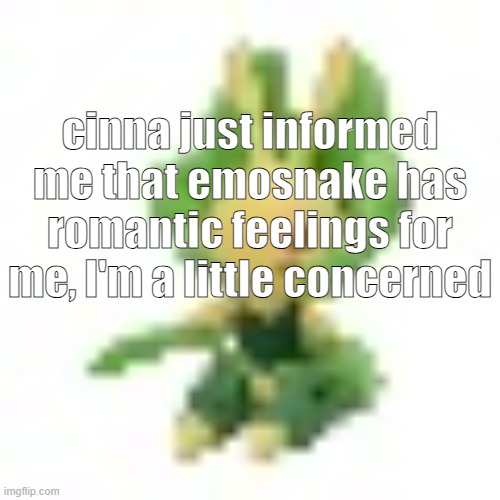 I don't want this to seem like I'm shutting him down it's just that it would immediately become illegal | cinna just informed me that emosnake has romantic feelings for me, I'm a little concerned | image tagged in 144p leavanny | made w/ Imgflip meme maker