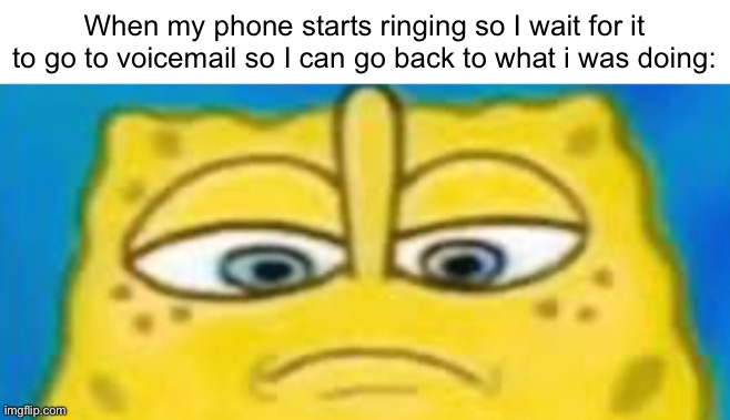 Bro go to voicemail alr | When my phone starts ringing so I wait for it to go to voicemail so I can go back to what i was doing: | image tagged in memes,facetime | made w/ Imgflip meme maker