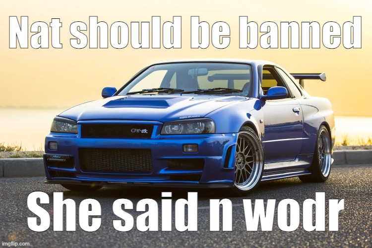 Skyline R34 | Nat should be banned; She said n wodr | image tagged in skyline r34 | made w/ Imgflip meme maker