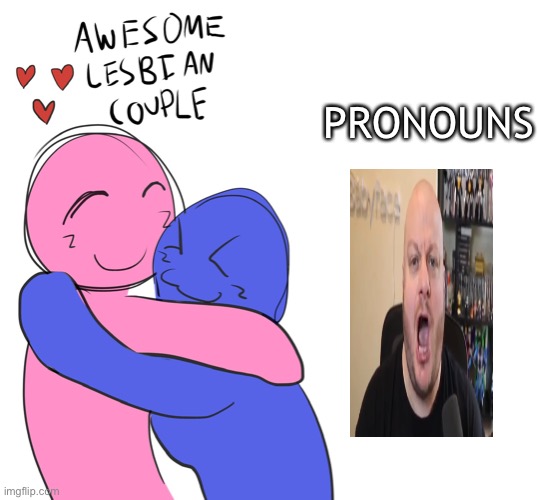 Awesome Lesbian Couple | PRONOUNS | image tagged in awesome lesbian couple | made w/ Imgflip meme maker