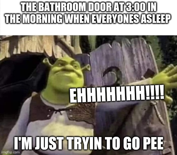 Shrek opens the door | THE BATHROOM DOOR AT 3:00 IN THE MORNING WHEN EVERYONES ASLEEP; EHHHHHHH!!!! I'M JUST TRYIN TO GO PEE | image tagged in shrek opens the door | made w/ Imgflip meme maker