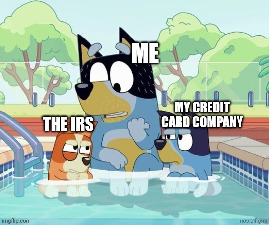 IRS | image tagged in irs,shifting the blame,bluey,bandit,bingo | made w/ Imgflip meme maker