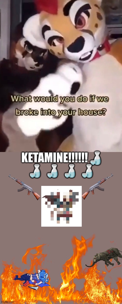 what would you do if some fatherless furries broke into ur home | KETAMINE!!!!!!🍶 🍶 🍶 🍶 🍶 | image tagged in what would you do if some fatherless furries broke into ur home | made w/ Imgflip meme maker