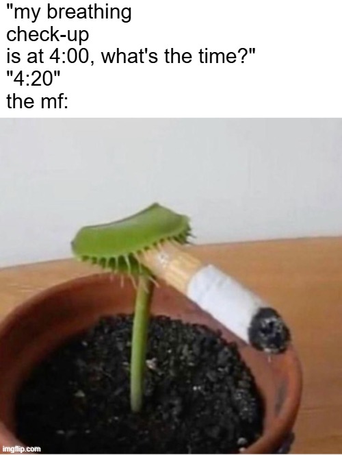 made a new template | "my breathing check-up is at 4:00, what's the time?"
"4:20"
the mf: | image tagged in venus fly trap smoking,ah yes | made w/ Imgflip meme maker