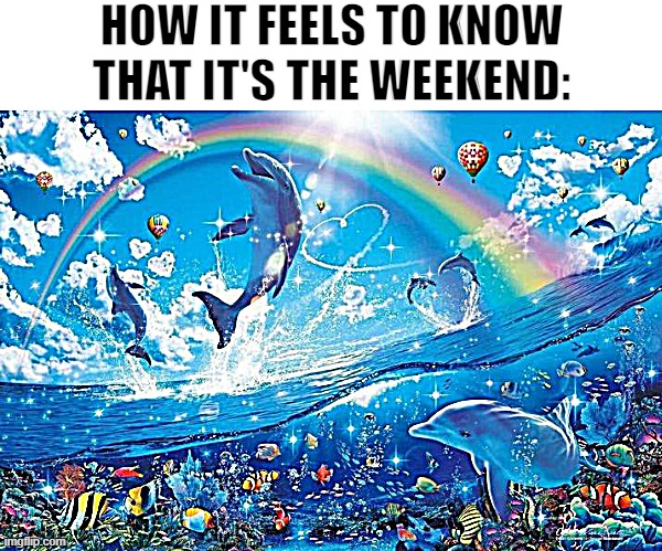 Finally | HOW IT FEELS TO KNOW THAT IT'S THE WEEKEND: | image tagged in happy dolphin rainbow,weekend,middle school,finally inner peace | made w/ Imgflip meme maker