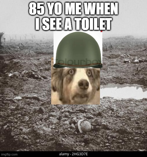 85 YO ME WHEN I SEE A TOILET | image tagged in ww1 | made w/ Imgflip meme maker