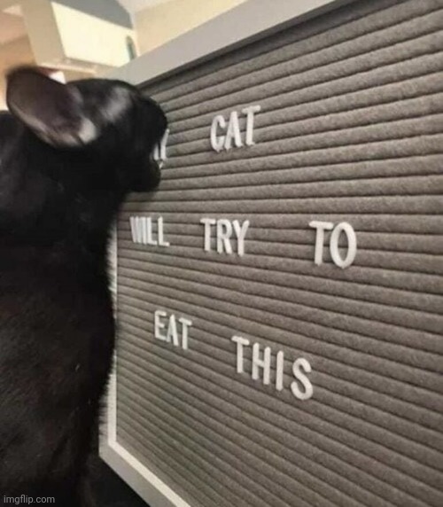 dailystormer.in  infostormer.com  unz.com  gab.com | image tagged in dailystormer in infostormer com unz com gab com | made w/ Imgflip meme maker