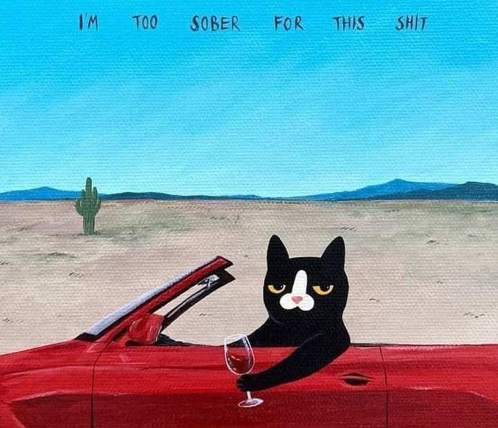 too sober Blank Meme Template