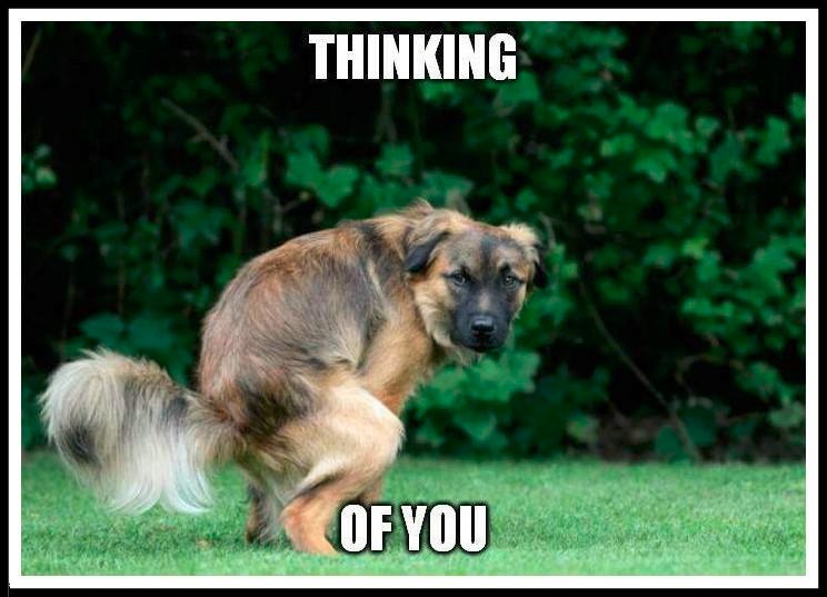 High Quality thinking of you Blank Meme Template