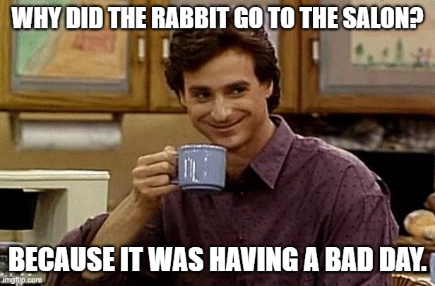 Hare | WHY DID THE RABBIT GO TO THE SALON? BECAUSE IT WAS HAVING A BAD DAY. | image tagged in dad joke,memes,dad jokes,dad joke meme | made w/ Imgflip meme maker