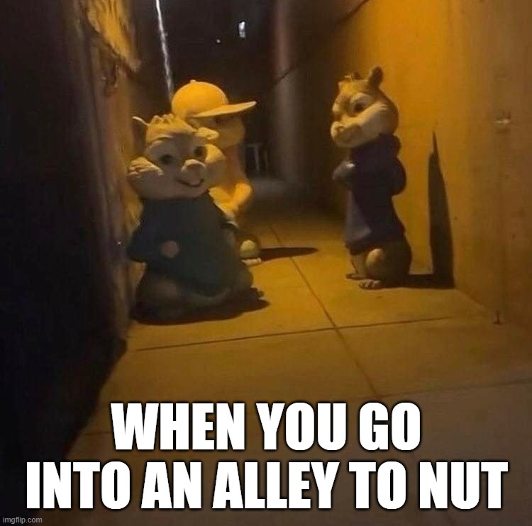 Chipmunks like nuts | WHEN YOU GO INTO AN ALLEY TO NUT | image tagged in dark alley,nuts,chipmunk | made w/ Imgflip meme maker