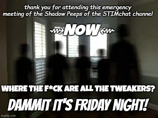 SHADOW PEOPLE gathering | thank you for attending this emergency meeting of the Shadow Peeps of the STIMchat channel; ⇝NOW⇜; WHERE THE F*CK ARE ALL THE TWEAKERS? DAMMIT IT'S FRIDAY NIGHT! | image tagged in meeting of the shadow people | made w/ Imgflip meme maker